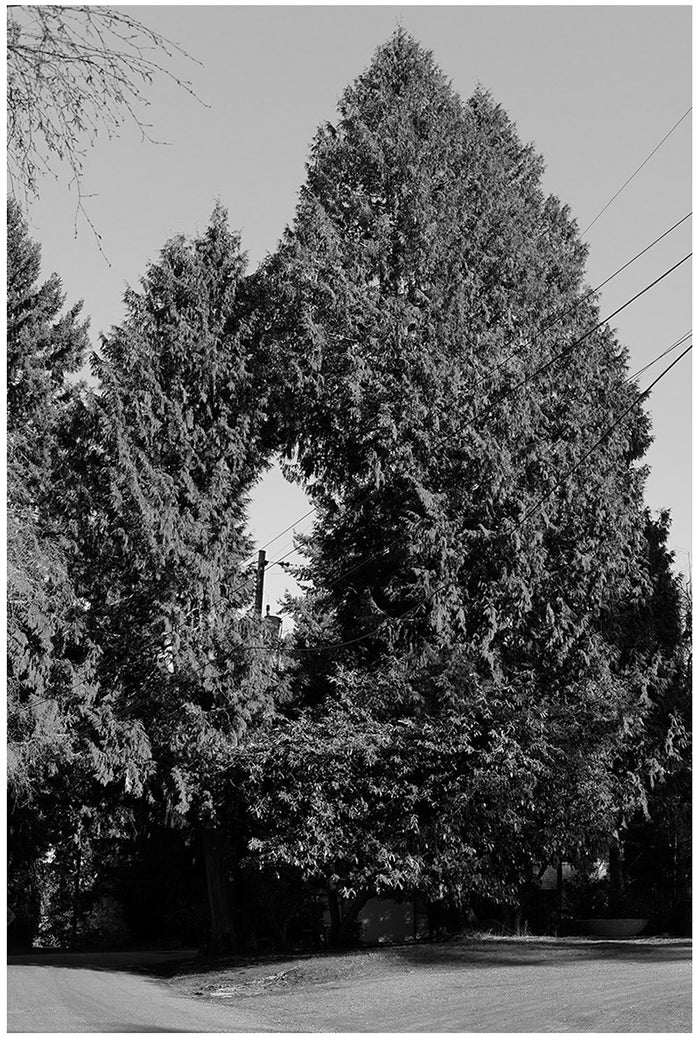 Untitled (13), from the series "Breathers"
