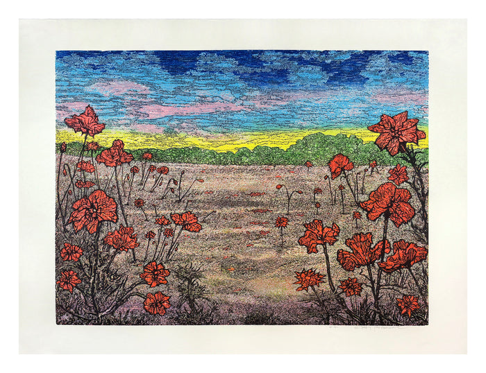 Field II