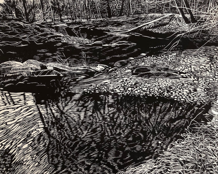 Darby Creek from Pennock Woods #2