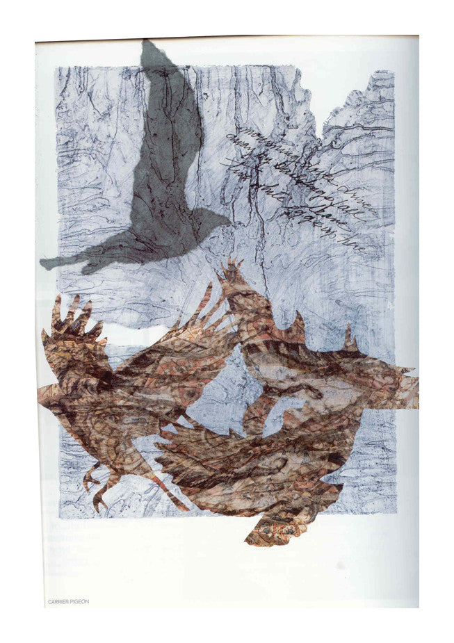 Carrier Pigeon Volume 3 Issue 1 Magazine Artist Collaboration Book The Print Center