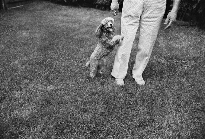 Close Relations Henry Horenstein Family dynamics nostalgia black and white photography the Print Center