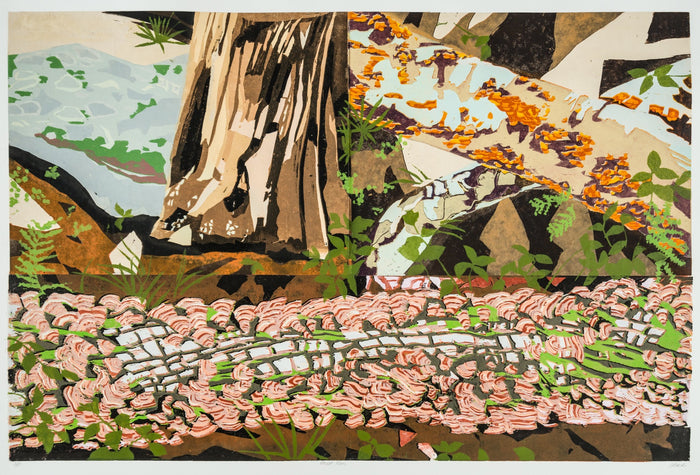 Forest Floor