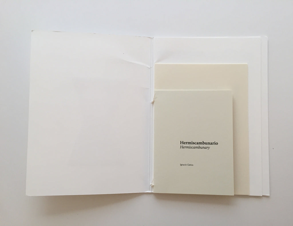 Hermaiscambunario book kayrock screenprinting shapes the print center
