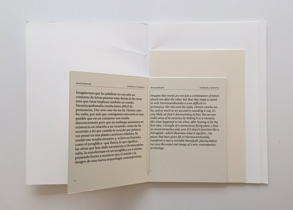 Hermaiscambunario book kayrock screenprinting shapes the print center