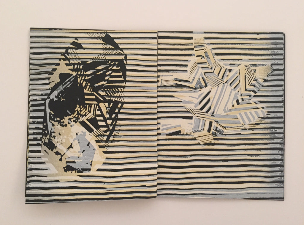 Mineral Fabric Melissa Oresky Book Kayrock Screenprinting the print center lines abstraction fabric directional abstraction book zine