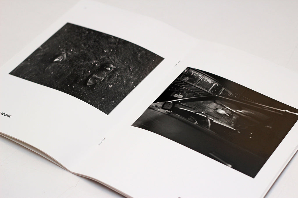 Emma Wilcox: Where it Falls artist book the print center photography 