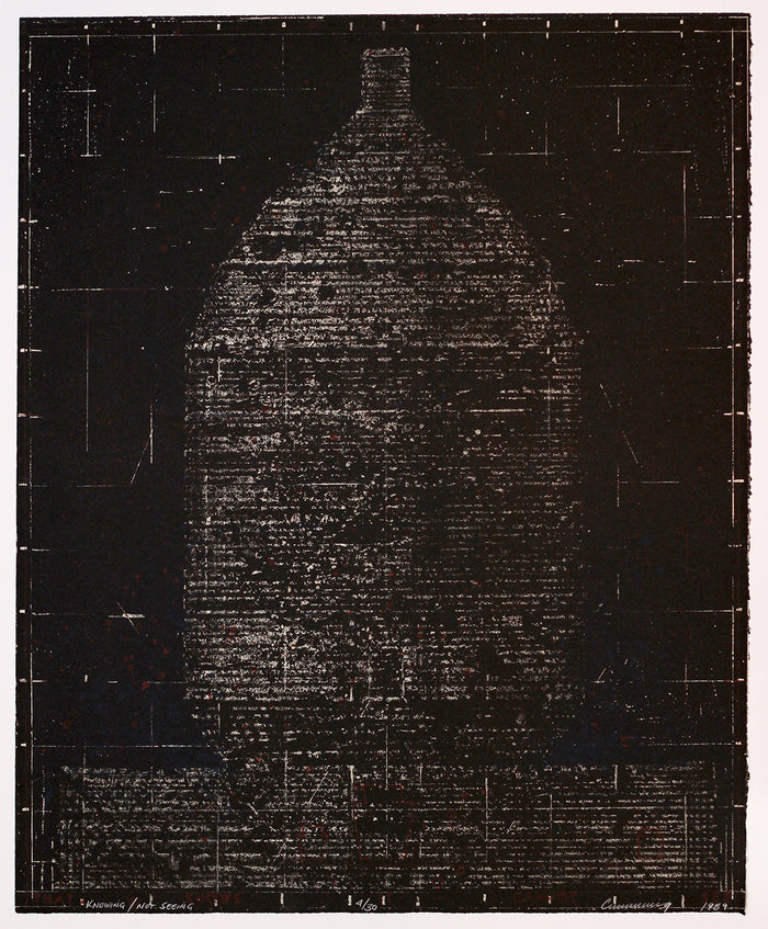 Knowing/Not Seeing Robert cumming lithograph dark tones the print center