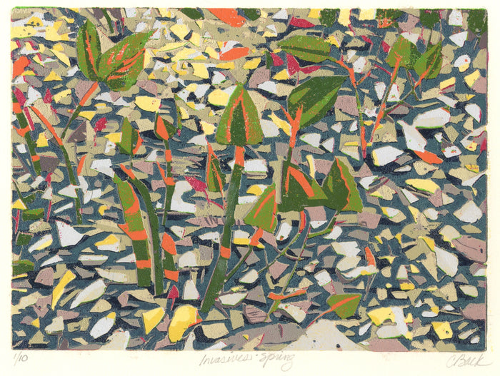 Invasives: Spring