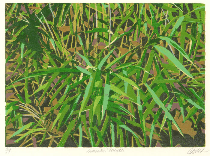 Invasives: Winter
