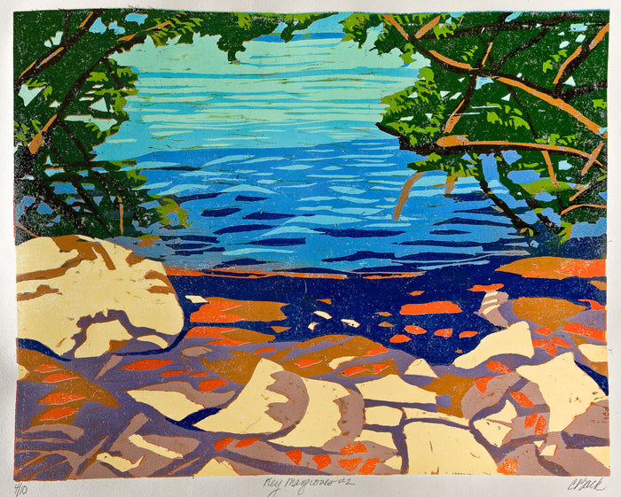 Key Mangroves #2