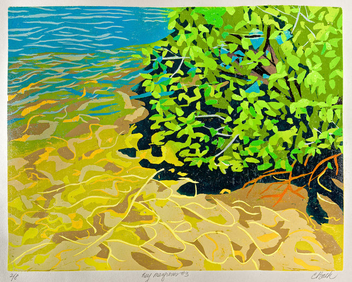 Key Mangroves #3