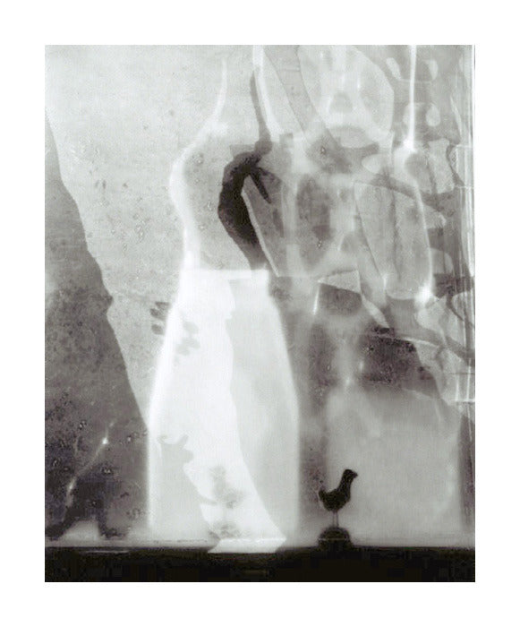 Mindful Susan Dunkerley Geltain toned silver print black and white abstraction photography the print center light exposure bird