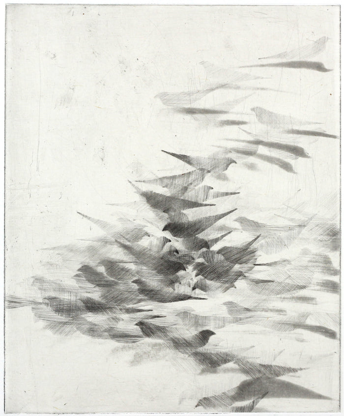 Pigeon Series #2