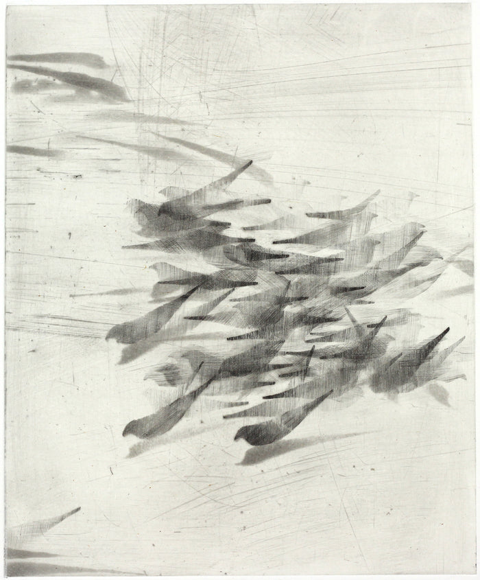 Pigeon Series #4