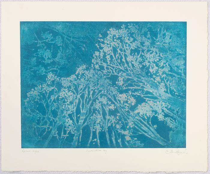 Fontainebleau sky Anna Jeretic Etching blue abstraction trees nature the print center negative image 