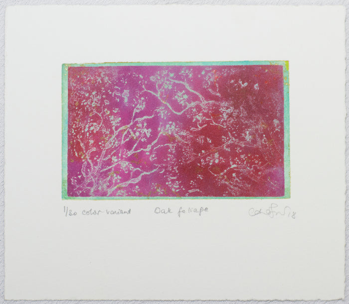 Oak Foliage Anna Jeretic etching the print center Philadelphia pink and yellow nature branches