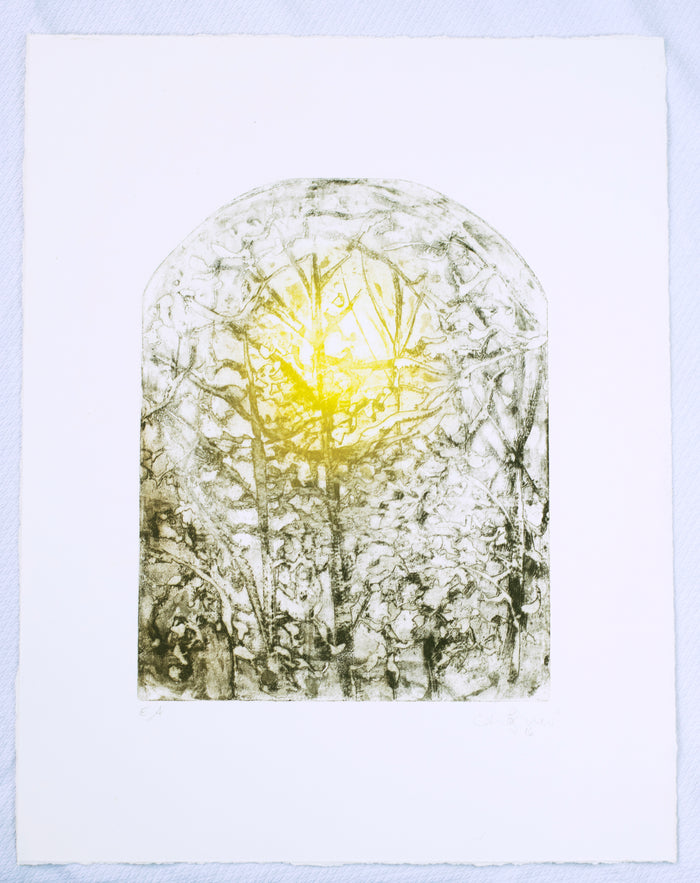 Moon Through the Branches Anna Jeretic Etching the print center nature and sun arched sape Philadelphia gallery store 