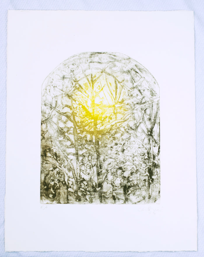 Moon Through the Branches Anna Jeretic Etching the print center nature and sun arched sape Philadelphia gallery store