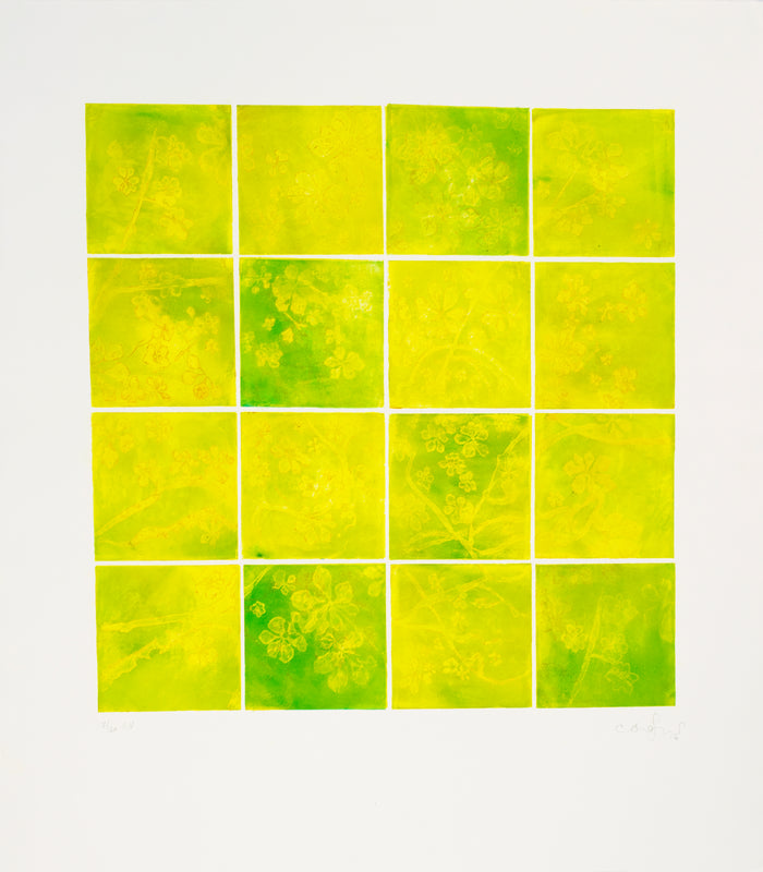 Chestnut Leaves aquatint Anna Jeretic The Print Center grid yellow and green squares 