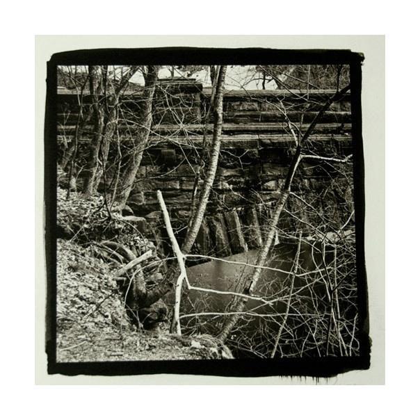 Running Stick, Wissahickon Platinum Palladium Print James Syme creek the print center nature branches water black and white photography