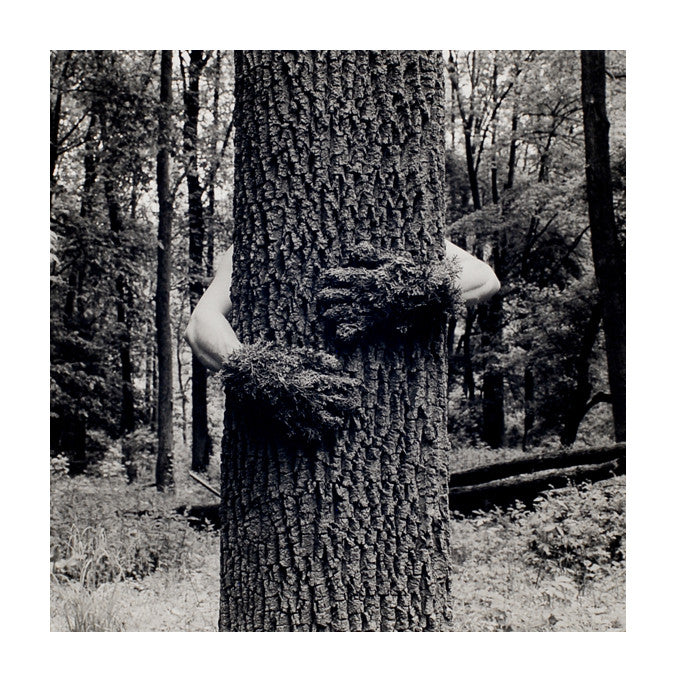 Tree Hug