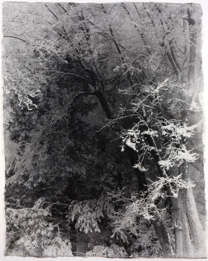 "Stormy Night" By Susan Abrams. A Selenium toned silver print on artist made paper. Black and White, Photograph, Nature. The Print Center