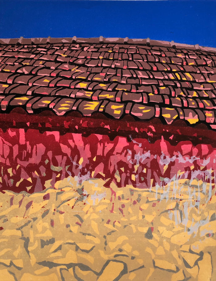 Study 1-Roof and Wall