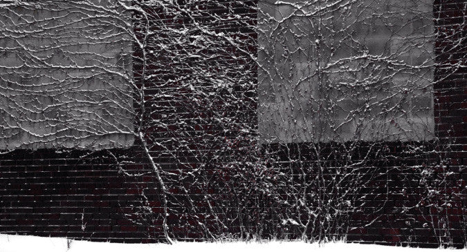 Drift Inkjet Print Rachel beamer abstraction photography black and white