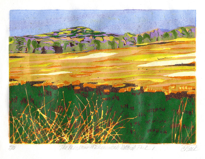The Meadows at Shenandoah National Park 1