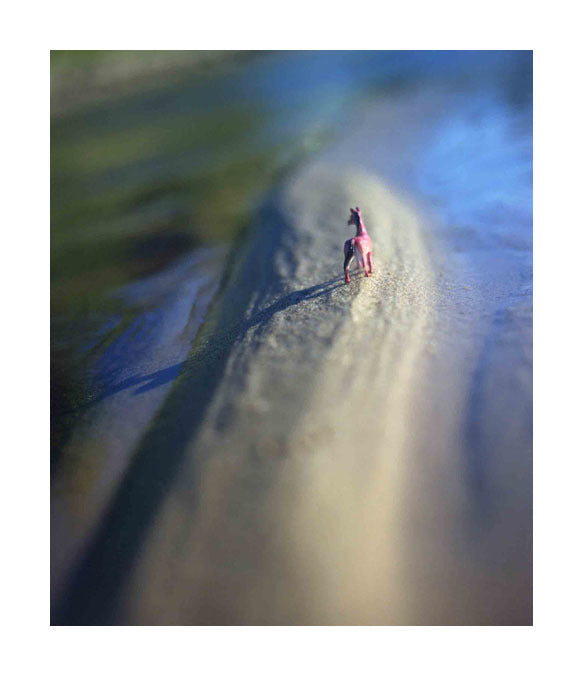 Landlocked Susan Arthur Wilson inkjet print miniatures created landscape fantasy the print center deer