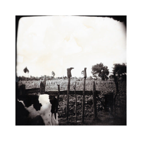 Boots Julia Blaukopf Gelatin Silver Print Cow Landscapes Made in Philadelphia Photography