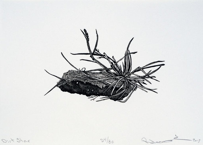Dirt Star Rebecca Gilbert Engraving nature made in philadelphia the print center