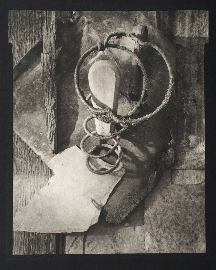 Savannah Still Life Paul Rider Platinum Palladium Print made in Philadelphia the print center
