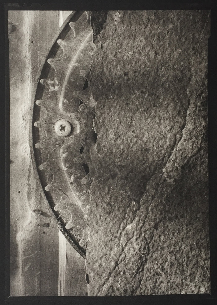 Savannah Still Life Paul Rider Platinum Palladium Print made in Philadelphia black and white abstraction