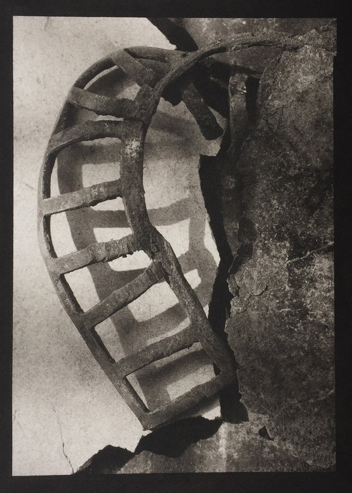 Savannah Still Life Paul Rider Platinum Palladium Print made in Philadelphia