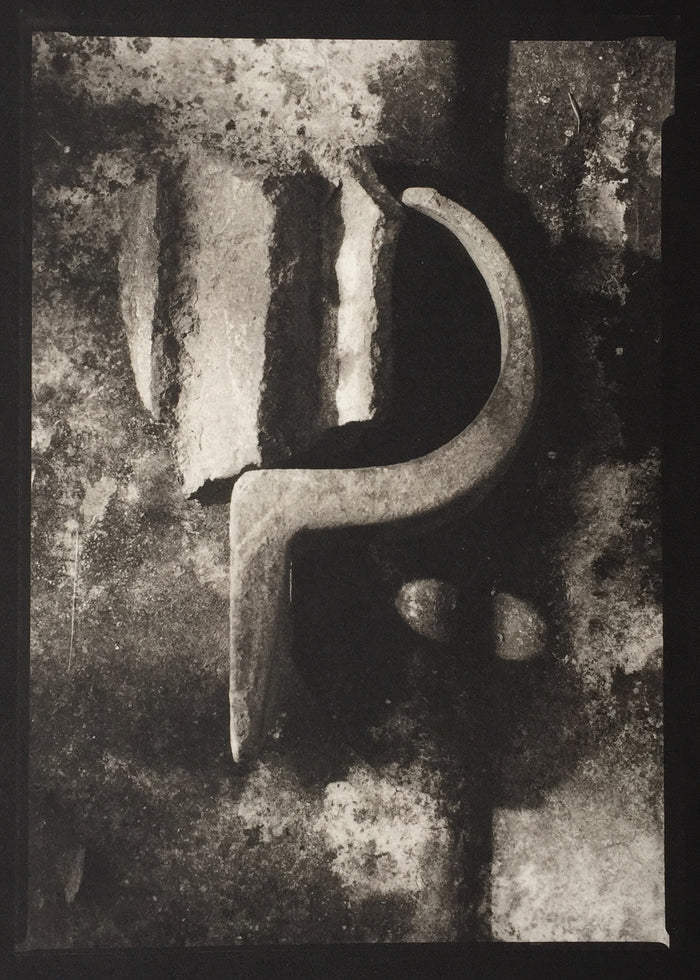 Savannah Still Life object portrait platium palladium print paul rider made in Philadelphia