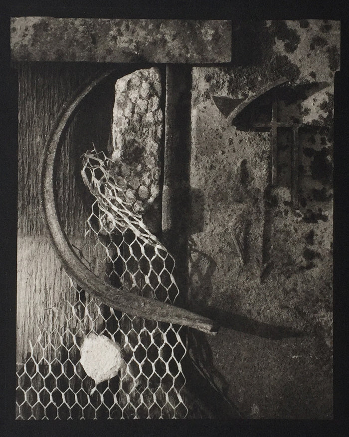 Savannah Still Life netting objects form and line Paul Rider Platinum Palladium Print