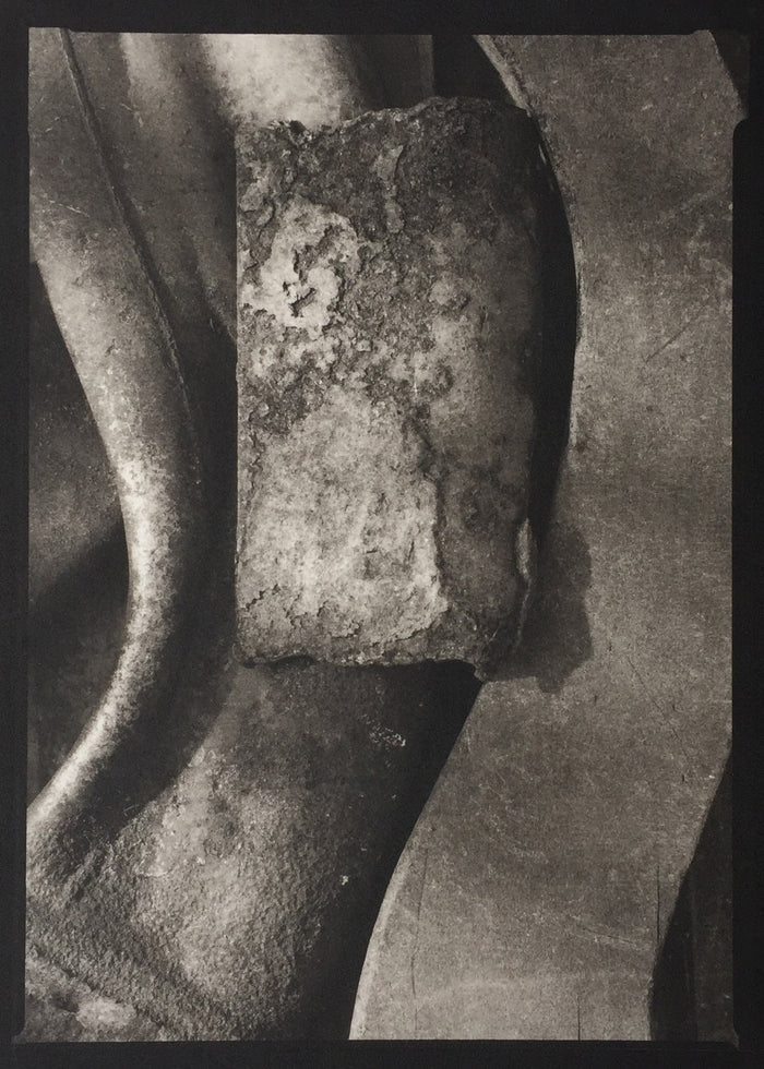 Savannah Still Life objects photography black and white Paul Rider Platinum Palladium print making