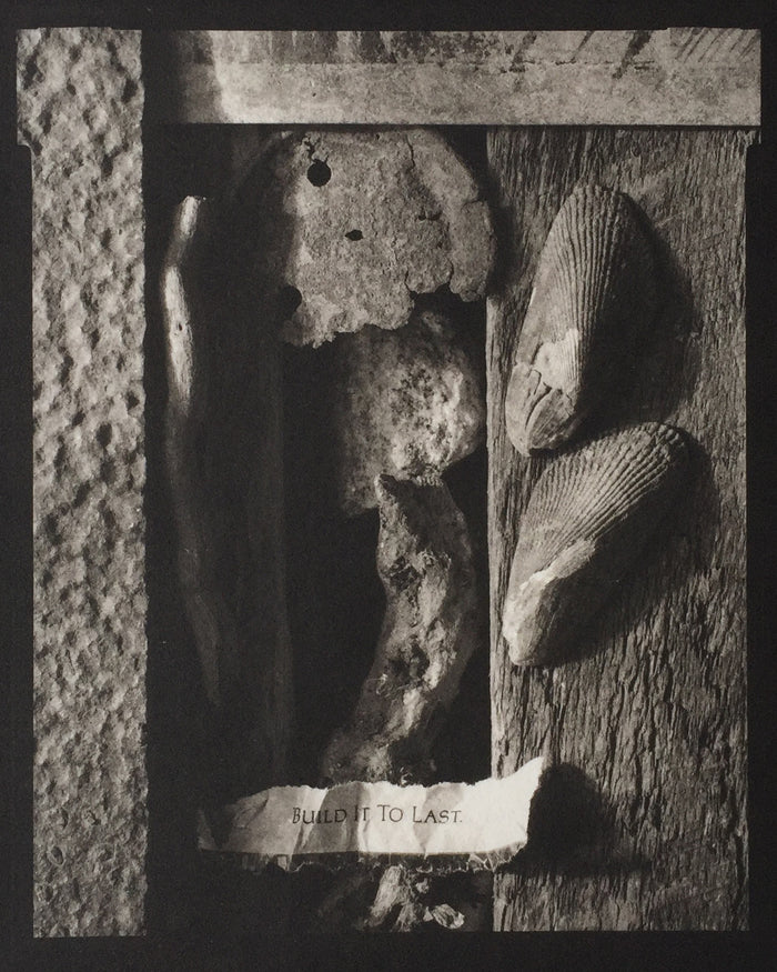 Savannah Still Life Paul Rider Platinum Palladium Print made in Philadelphia