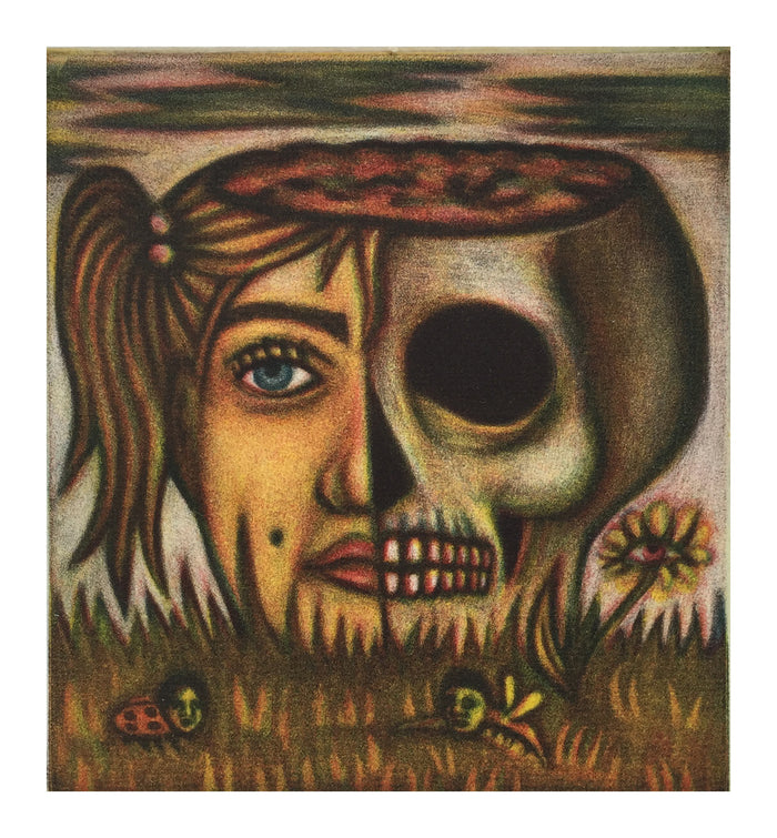 Here & After Jenny Schmid Mezzotint the print center half girl pony tail half skill decay ground outside bugs