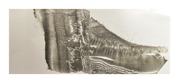 "Sets" a lithograph by Hester Stinnett. Depcits an abstract image with wave motions, water bubbles and writing, in a shape reminiscent of a foot. Printmaking, black and white, memory, Fragments, Nature, shoreline, landscapes, water. The Print Center