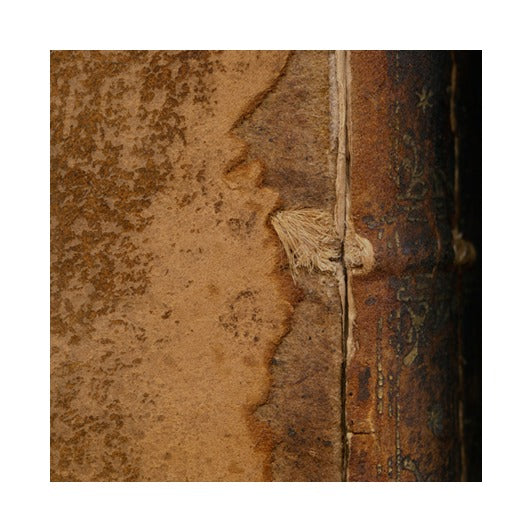 Untitled #23