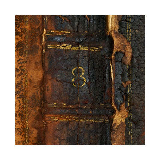 Untitled #8