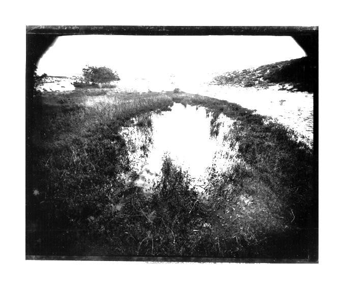 "Cranberry Bog, Peaked Hill Dunes, Cape Cod Seashore" by James Abbott. A Split-toned gelatin silver print depicting a landscape of a single cranberry bog flanked by sandy dunes. The Print Center