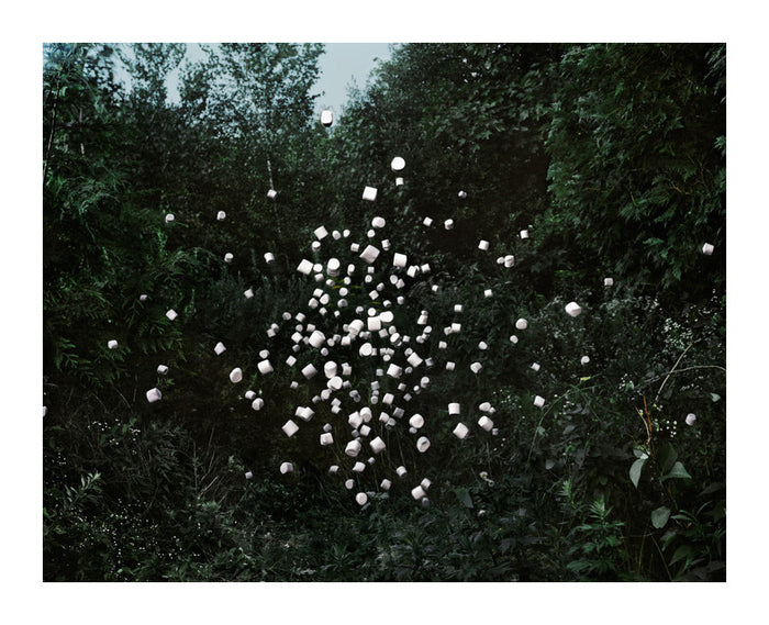 Marshmallows #1 Inkjet Pigment Print thomas Jackson the nature photography environmentalist art staged photography floating objects personification