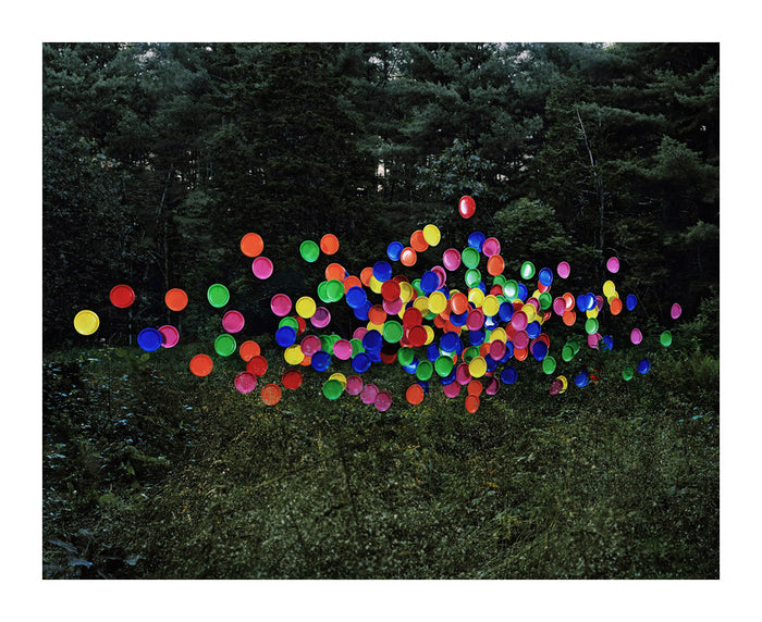 Plates #1 Thomas Jackson Inkjet Print the print center nature photography staged objects