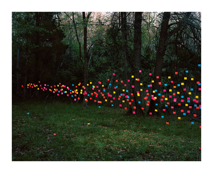 Post-its #1 photography floating objects forest thomas Jackson inkjet print