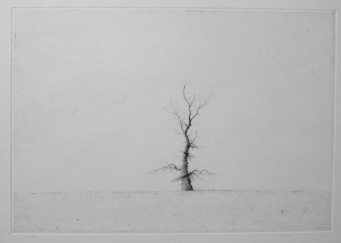 Iraklion Drypoint lars nyberg intaglio contrast black and white little tree 