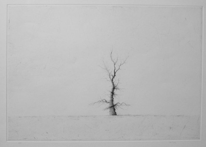 Iraklion Drypoint lars nyberg intaglio contrast black and white little tree