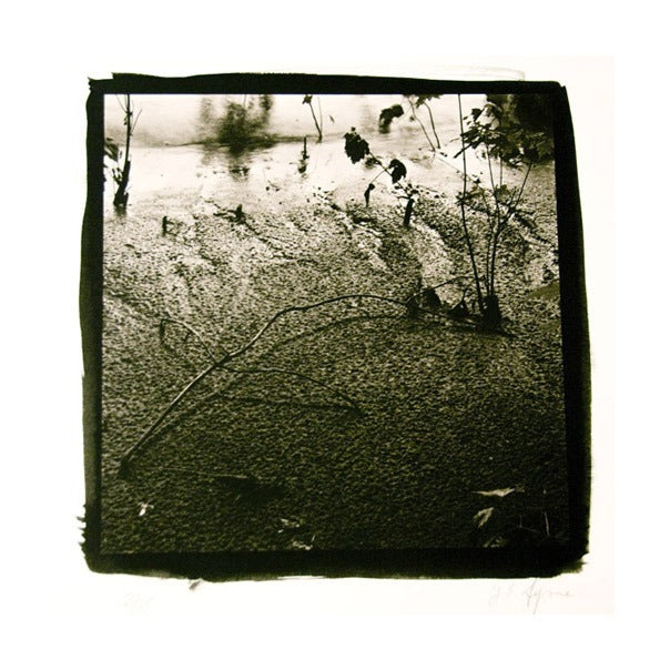 Low Water, Delaware James Syme Platinum Palladium print the print center black boarder nature sticks black and white photography